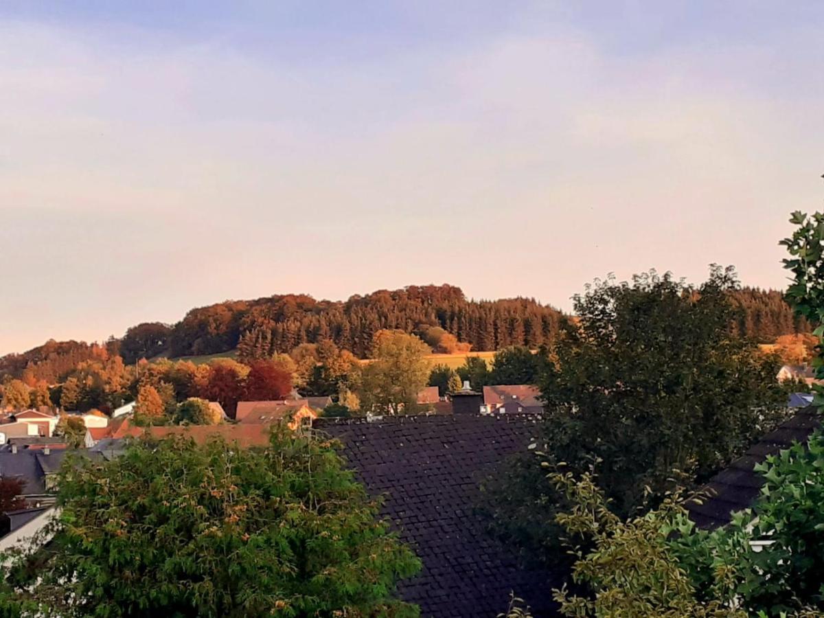 Ferienwohnung Gipfelblick Willingen  Buitenkant foto